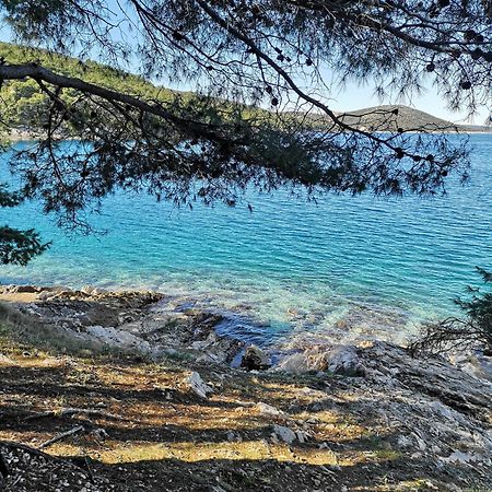 Villa Long Island Luxury Residence, Sali Dugi Otok-Private Parking,Next To Beach Dış mekan fotoğraf